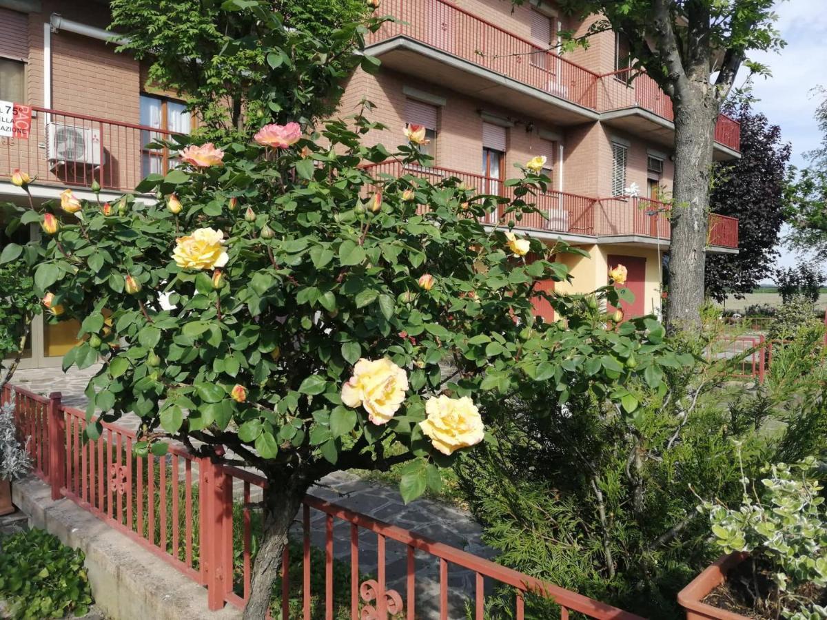 Gold B&B Ravarino Ngoại thất bức ảnh